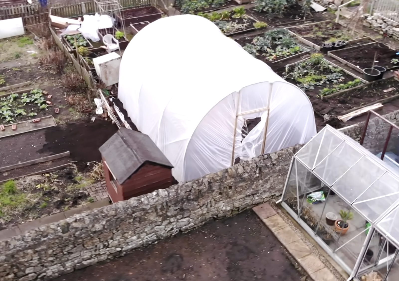 Seedlings coming on inside Tony's polytunnel