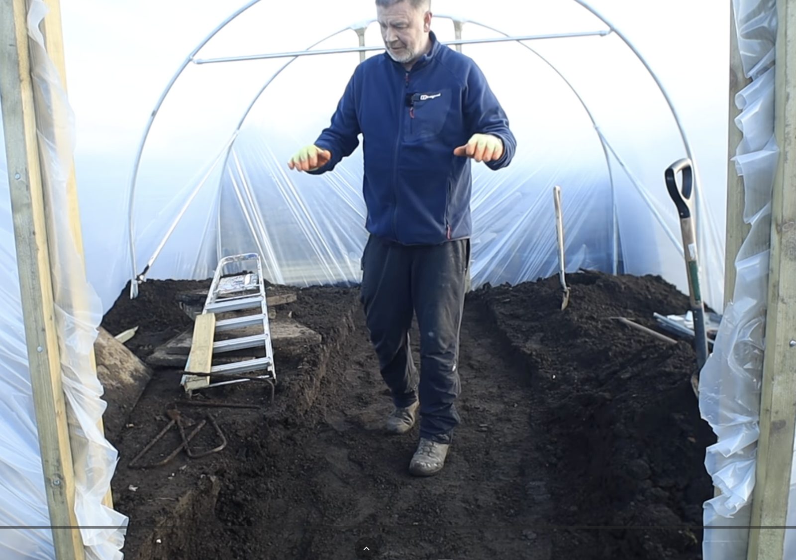 Crops growing down the polytunnel beds