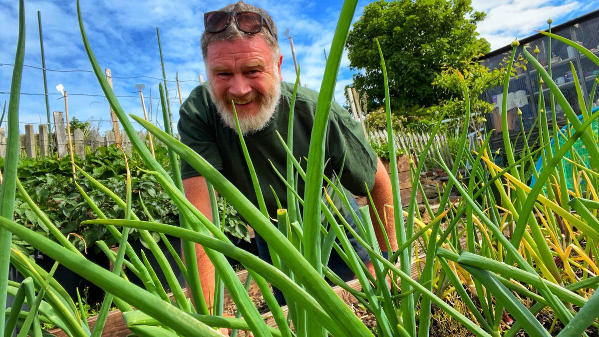 Tony among tall leeks