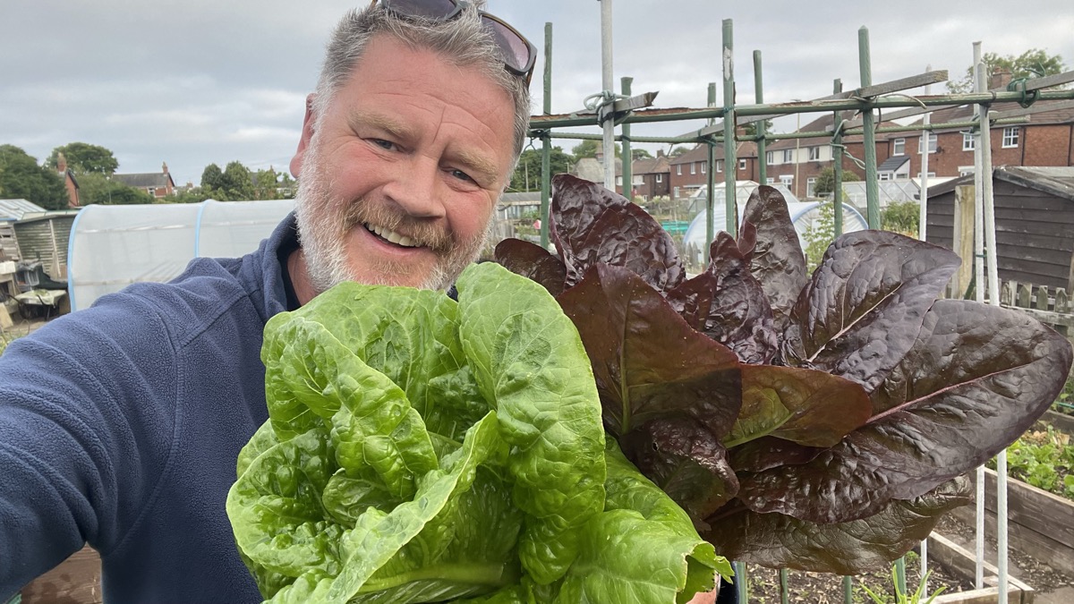 Tony holding a big lettuce harvest