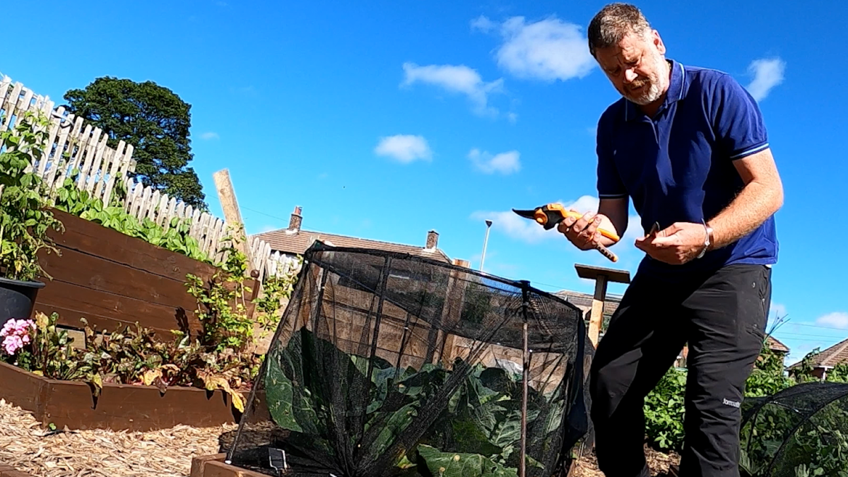 Tony working in the raised beds