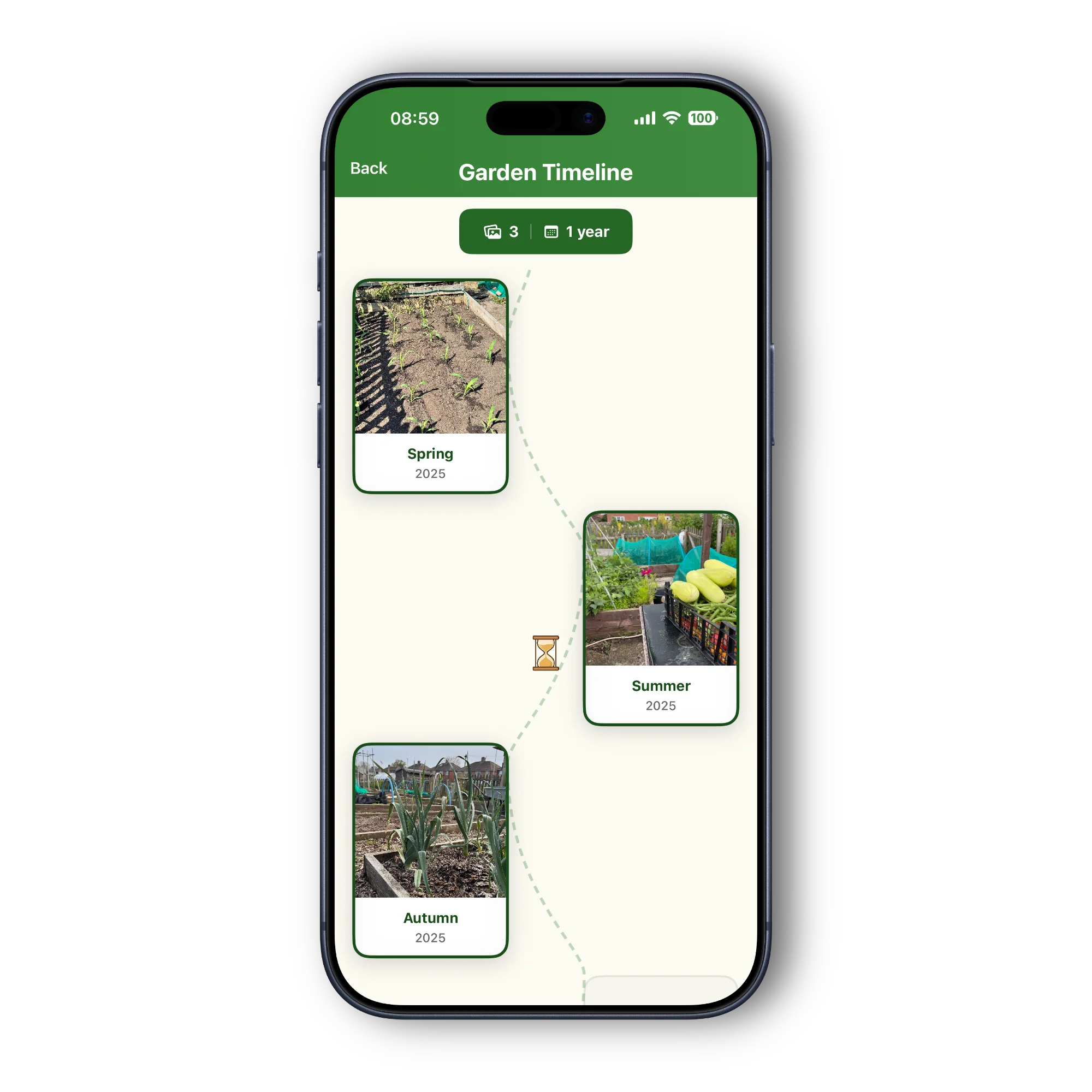 Garden timeline showing seasonal progress