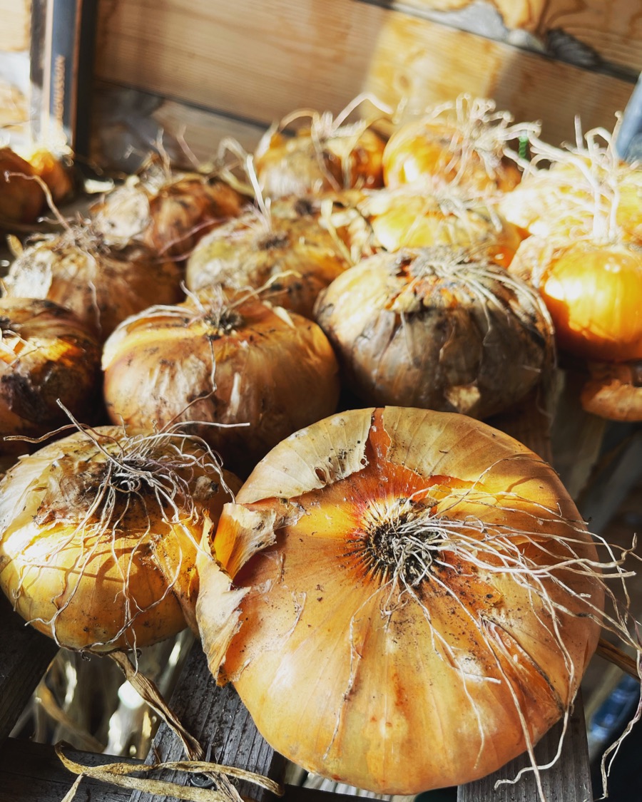 Homegrown produce