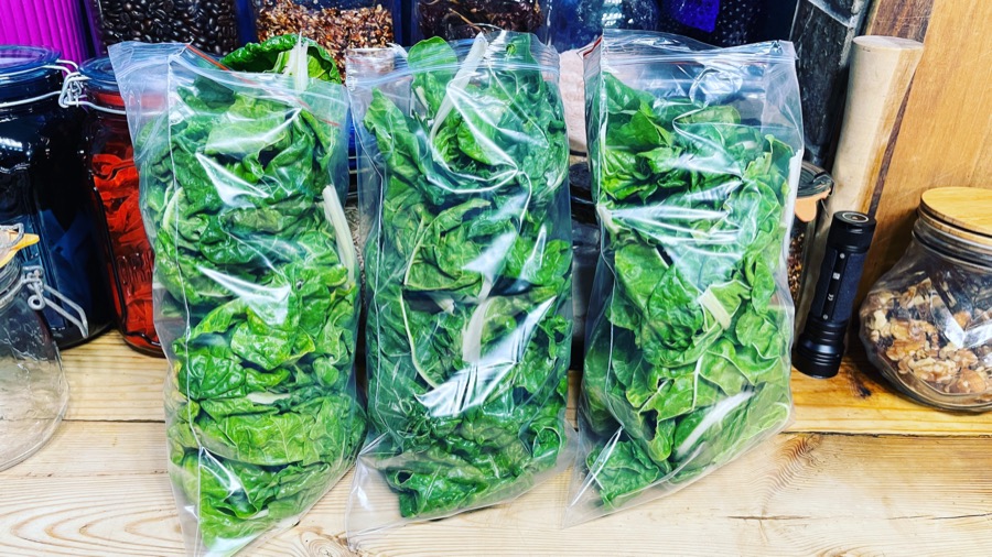A basket of homegrown vegetables