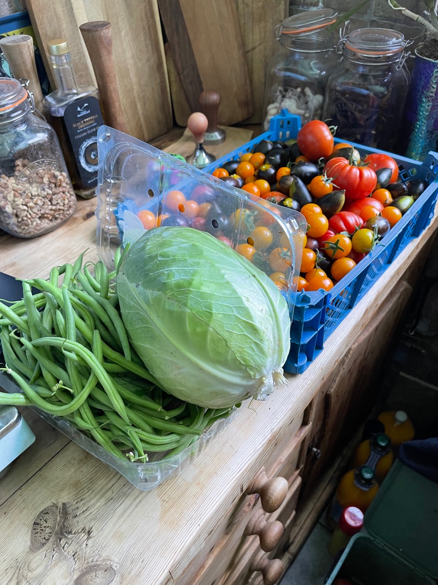The garden in full production