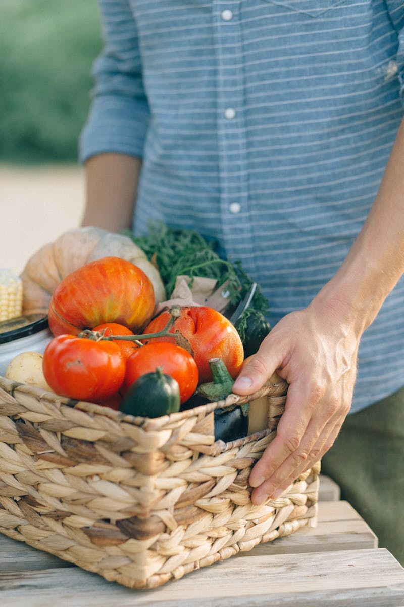Freshly harvested vegetables in basket