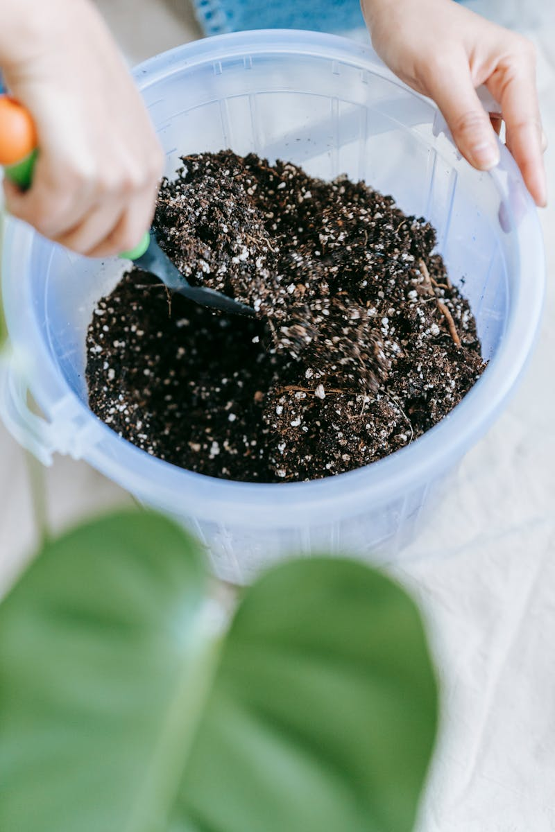 Garden watering system close up