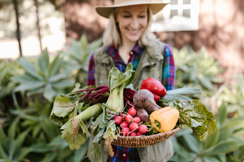 Freshly harvested root vegetables